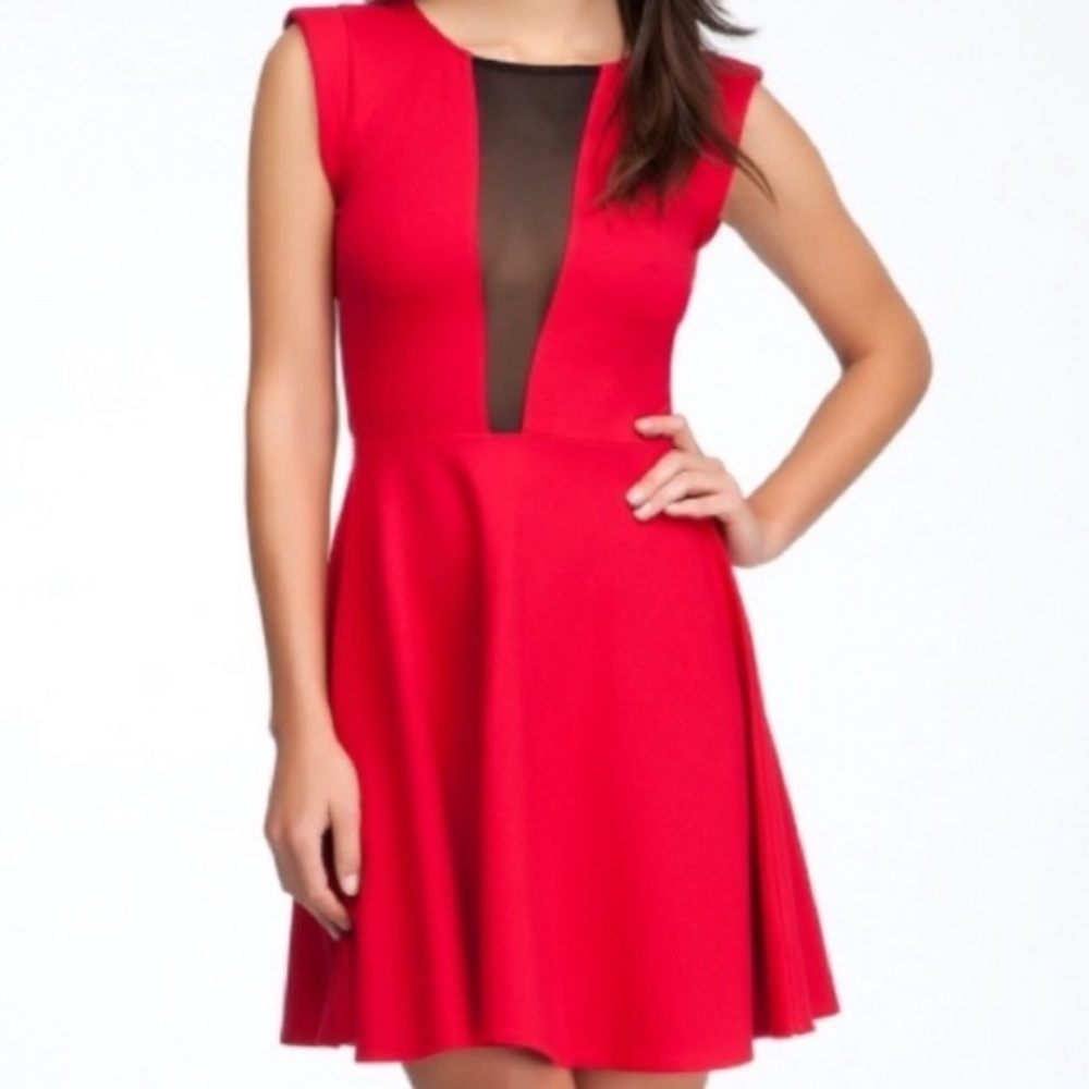 Bebe Fit & Flare Mesh Front & Back Dress